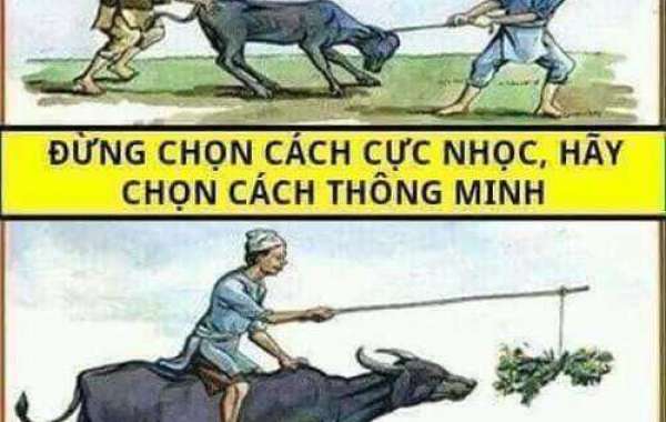 Phong Cách Sống