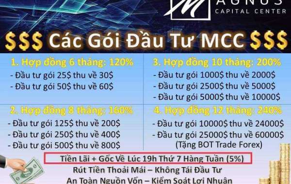 Đăng ký ngay bây giờ hệ thống tự tràn LInk timg hiểu: https://www.magnuscapitalcenter.com/front/registration.php?sponsor