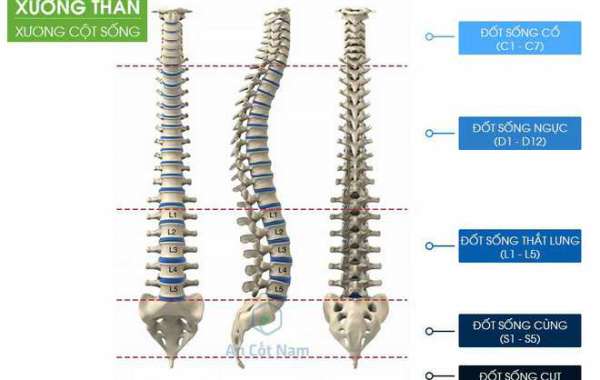 Đau lưng là triệu chứng của bệnh gì? Nguyên nhân và cách chữa hiệu quả