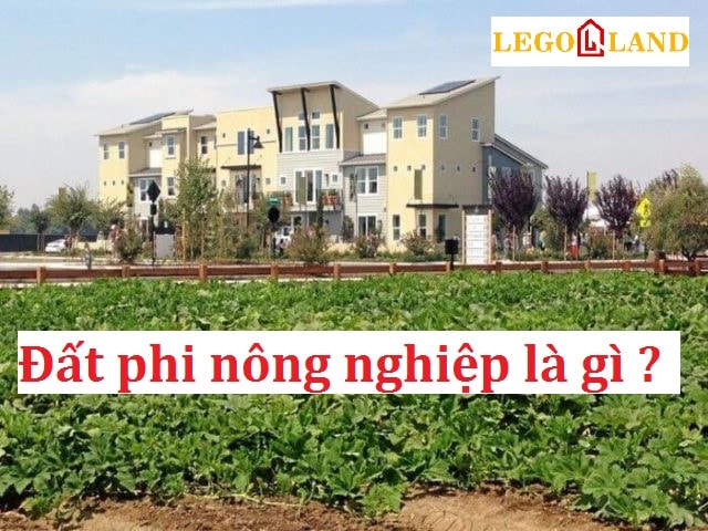 Đất phi nông nghiệp là gì ? Đất này có xây được nhà không ?