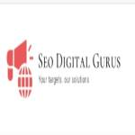 seodigitalgurus SEO Gurus