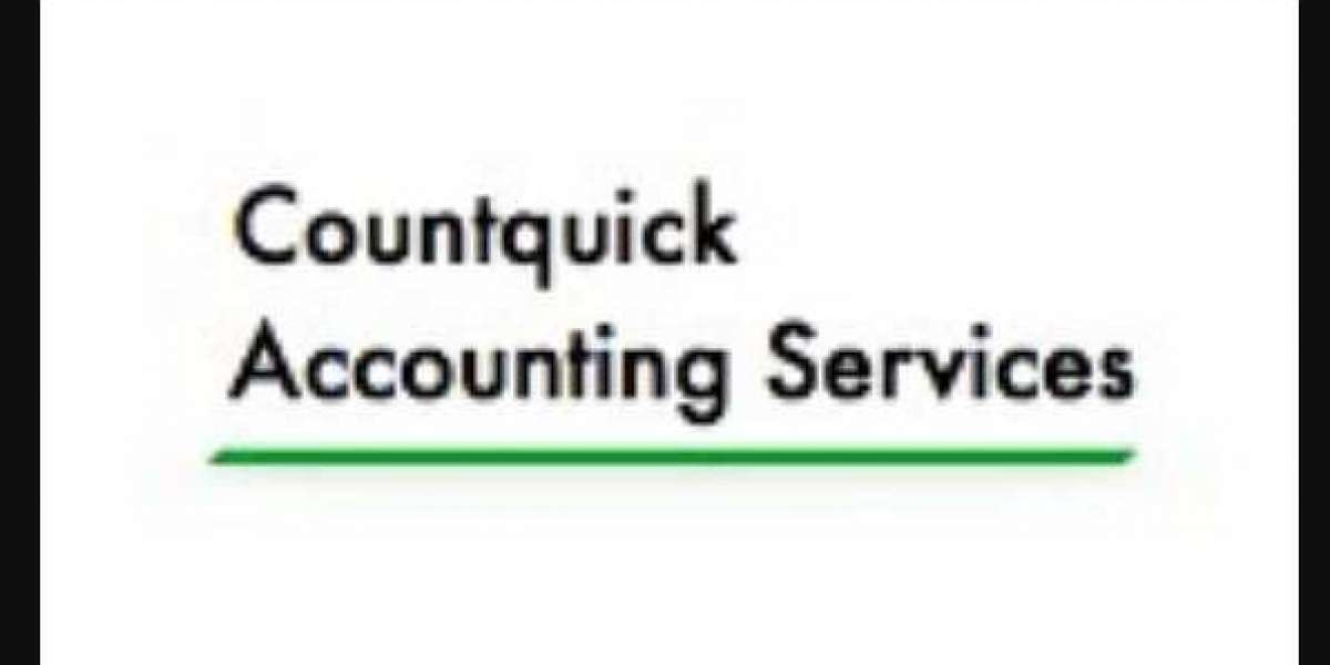 Acquiring Your Accountant Services Suitable the first Time