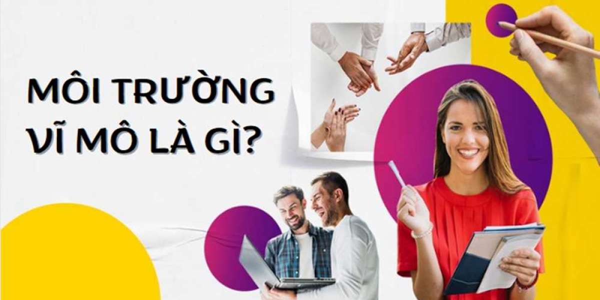 Tìm hiểu Môi trường vĩ mô là gì? Ví dụ về môi trường vĩ mô trong Marketing