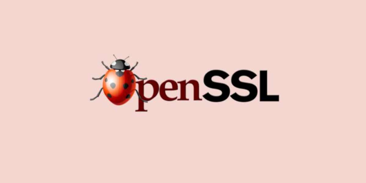 Tìm hiểu OpenSSL là gì trên Windows? Hướng dẫn cách cài đặt OpenSSL trên Windows