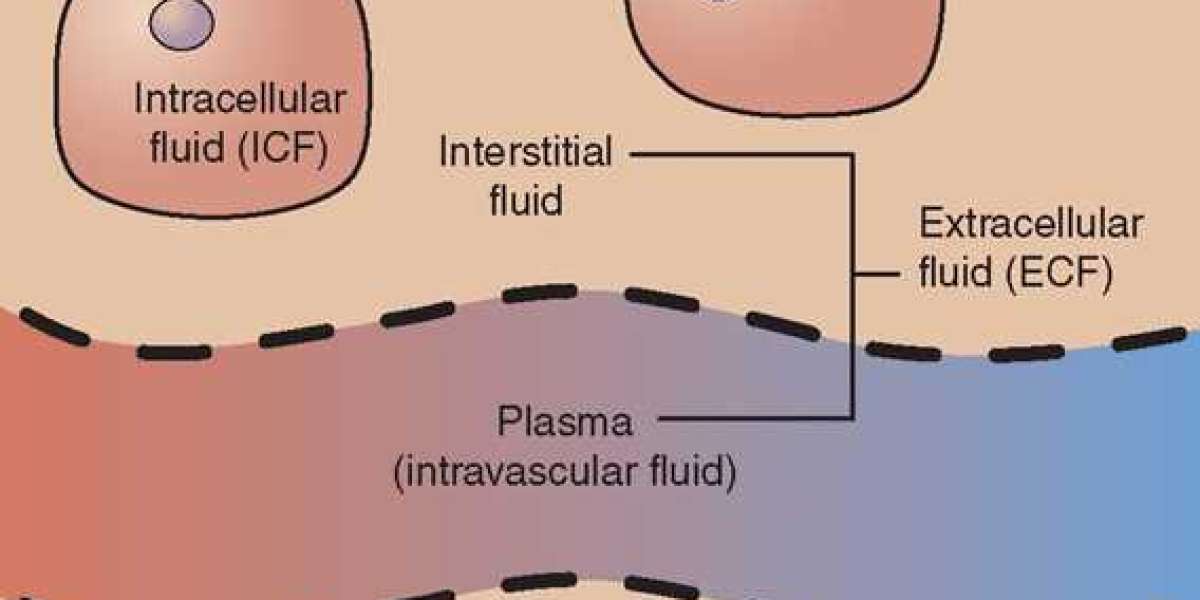 What is Intracellular Fluid?