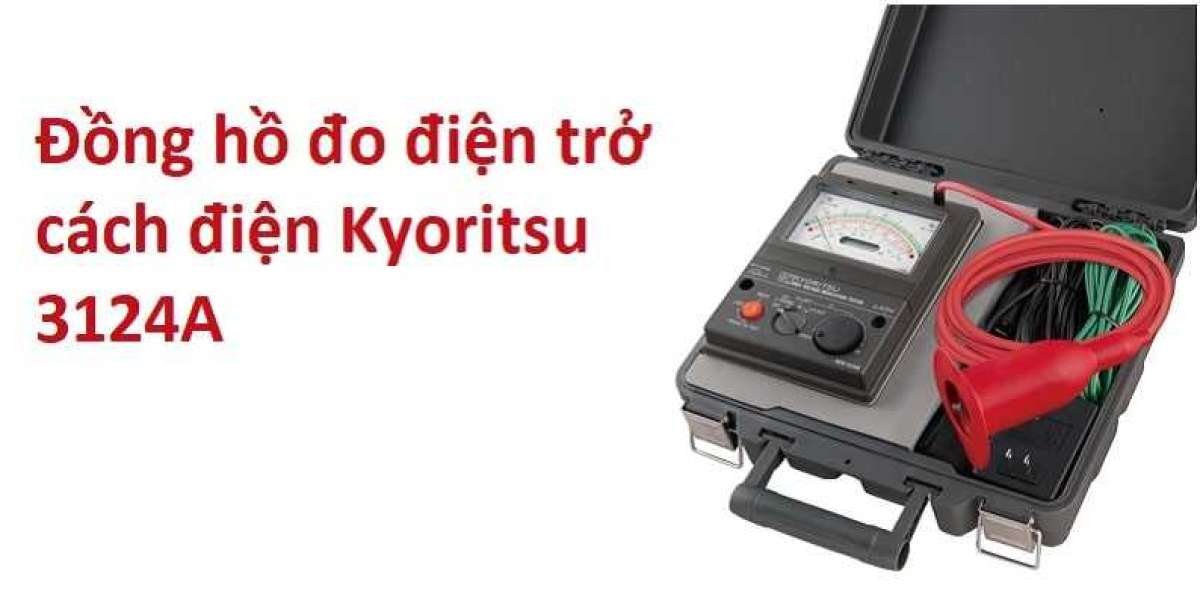 Đồng hồ đo điện trở cách điện Kyoritsu 3124A