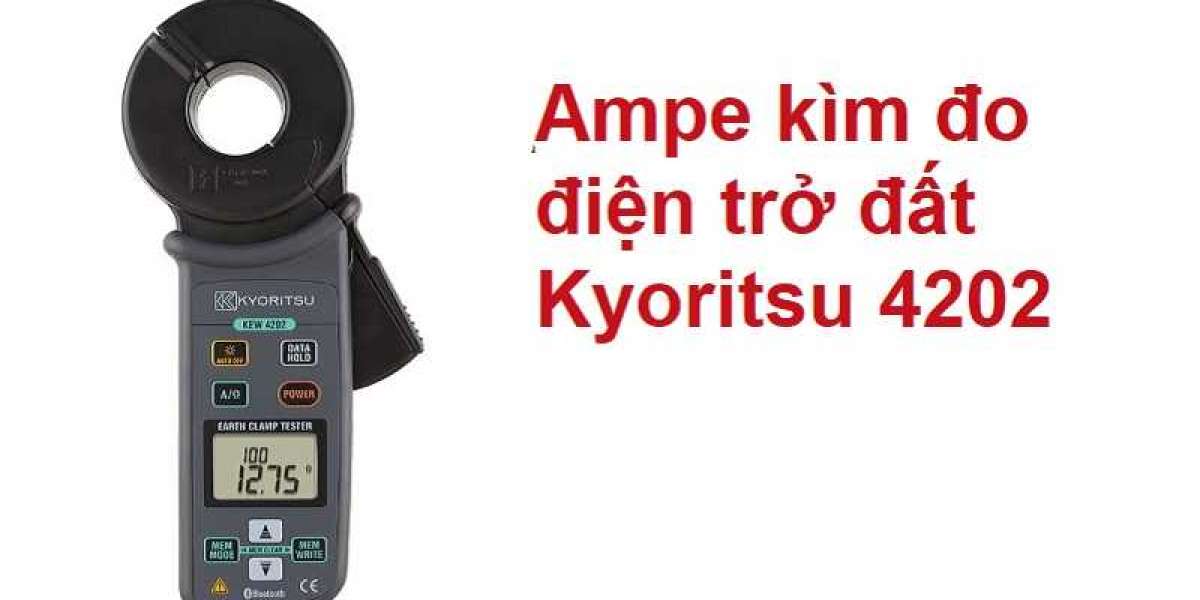 Ampe kìm đo điện trở đất Kyoritsu 4202