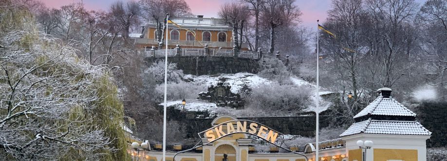 Skansen (Sverige)