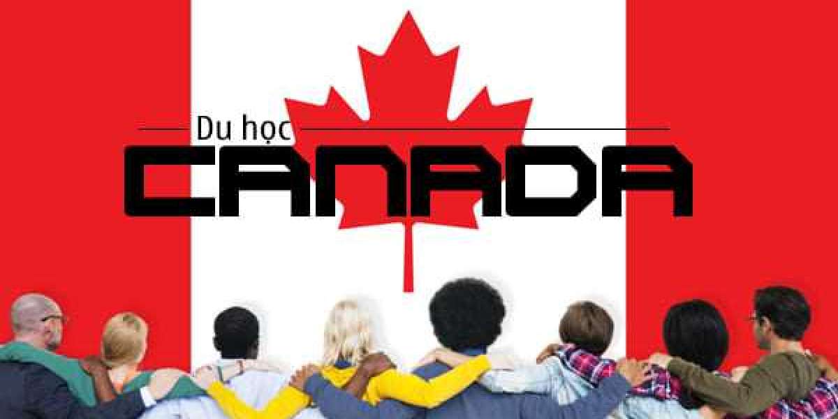 DU HỌC CANADA CẦN IELTS BAO NHIÊU LÀ ĐỦ? THAM KHẢO NGAY ĐIỂM IELTS CHUẨN VỚI TỪNG TRƯỜNG