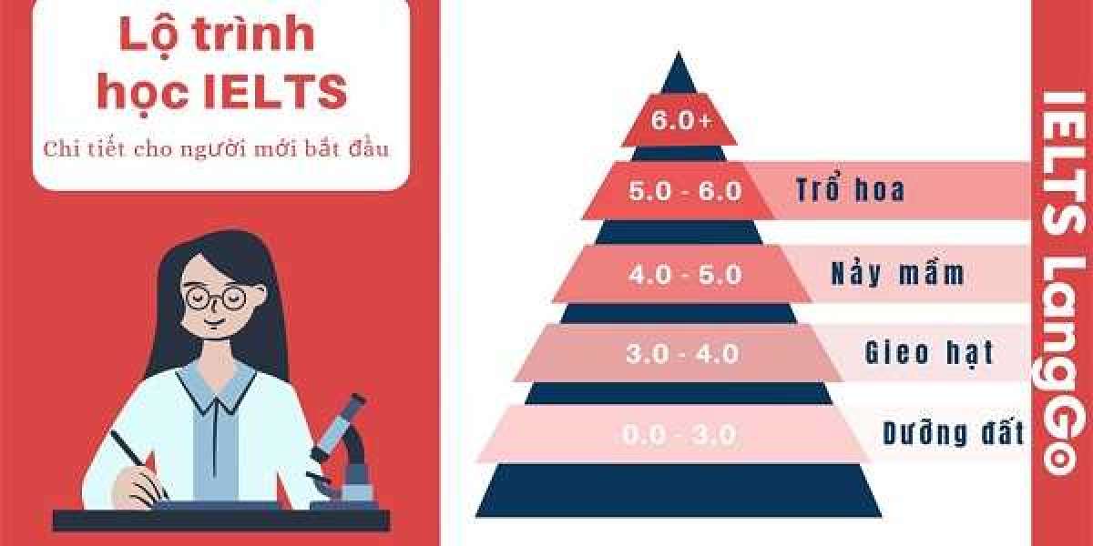 Lộ trình tự học và luyện thi IELTS cho người mới bắt đầu đầy đủ, chi tiết nhất