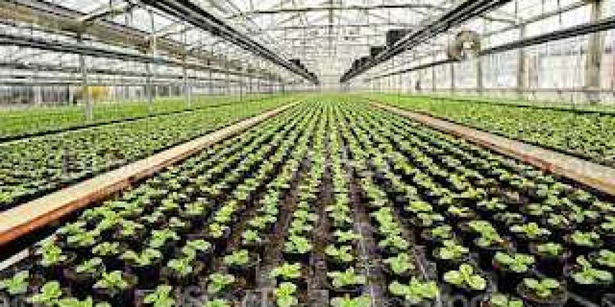 Commercial Greenhouse Market   Opportunities, Top Key Players, Target Audience and Forecast to 2028