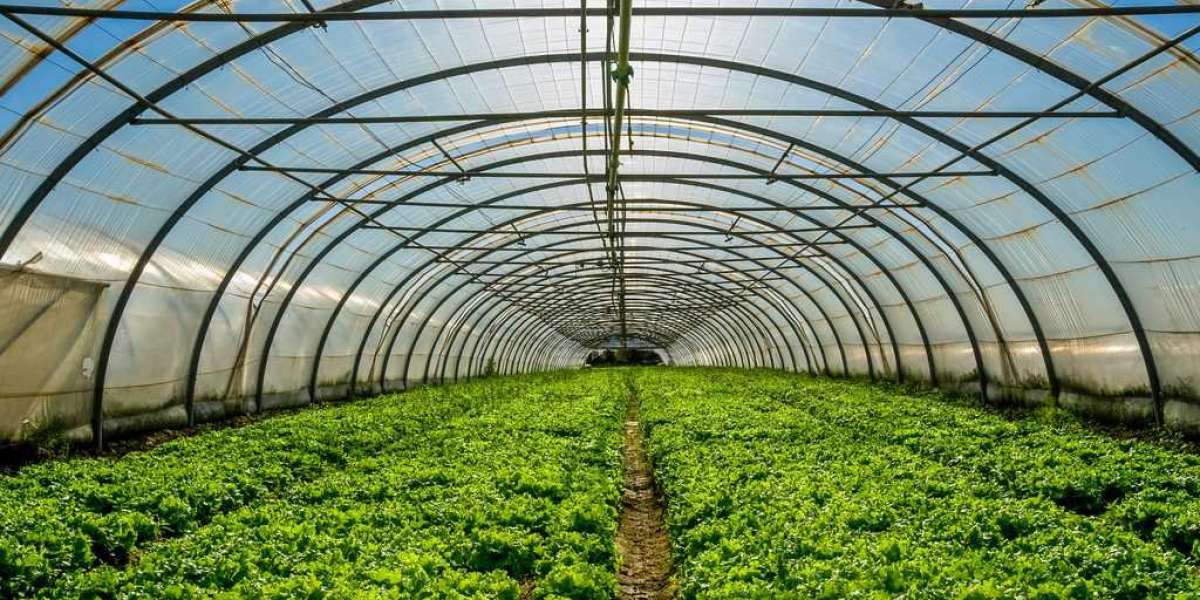 Middle East & Africa Indoor Farming Market was valued at more than USD 3700 million in 2021.