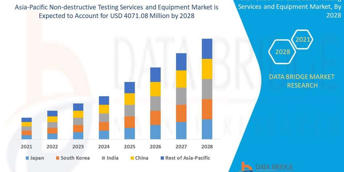 The   Asia-Pacific Non-destructive Testing Services and Equipment Market size insights 2022-2028 