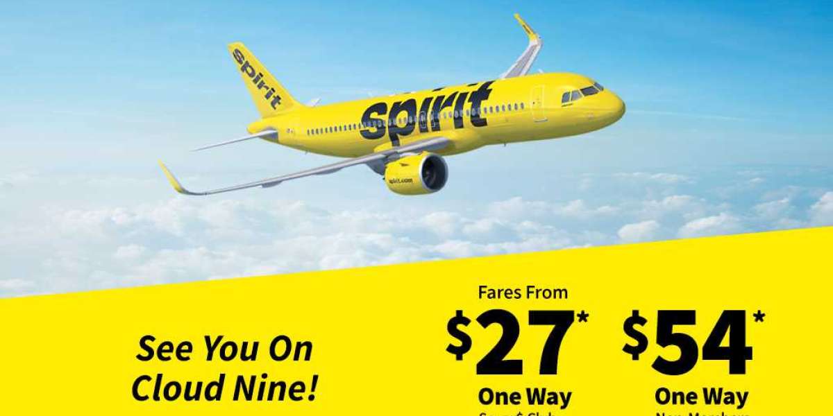 Spirit Airlines Baggage Allowance