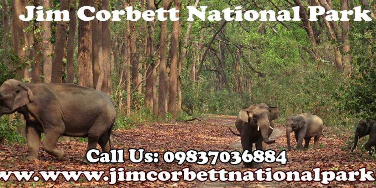 Jim Corbett National Park