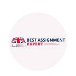 Bestassignment expert