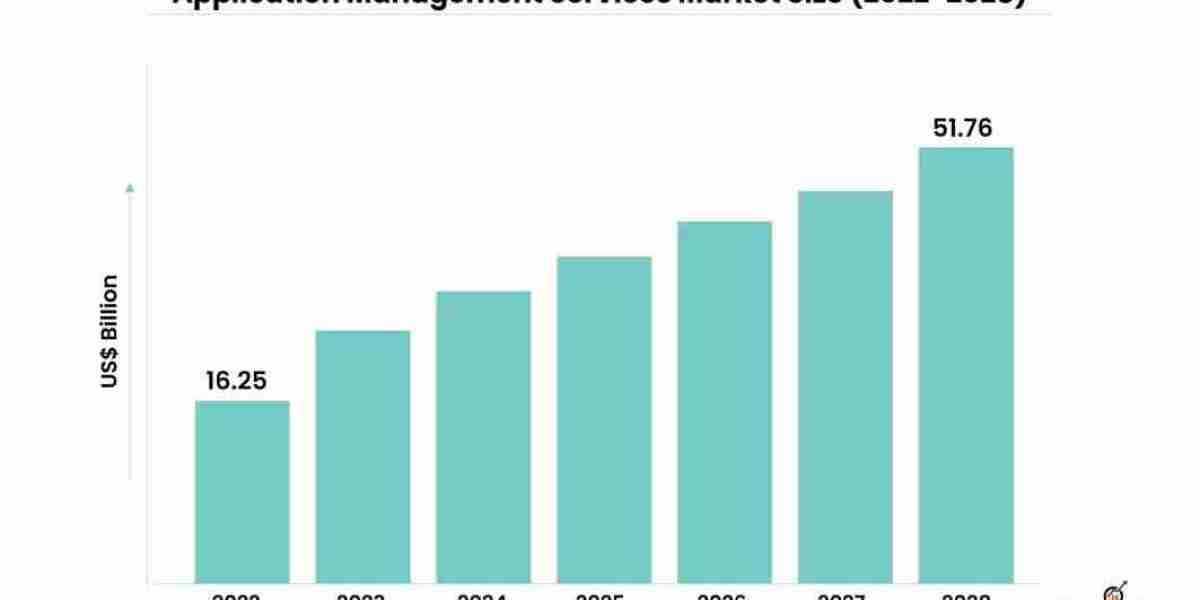 The Growing Importance of Application Management Services in the Digital Age