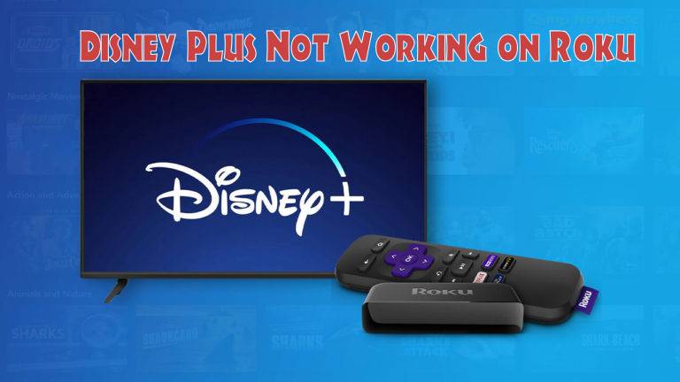 How To Fix Disney Plus Not Working on Roku