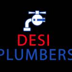 desi plumbers