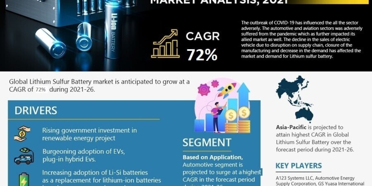 Lithium Sulfur Battery Market Analysis: Size, Share, and Future Growth Projection