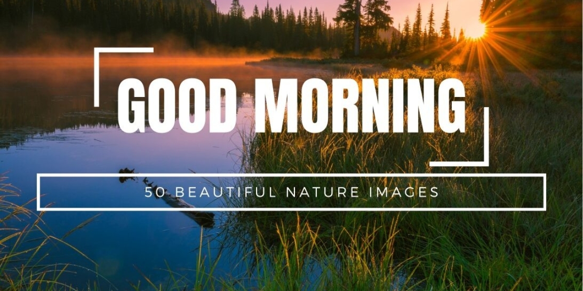 Embracing the Serene Beauty: Nature Good Morning Images to Start Your Day on a Positive Note