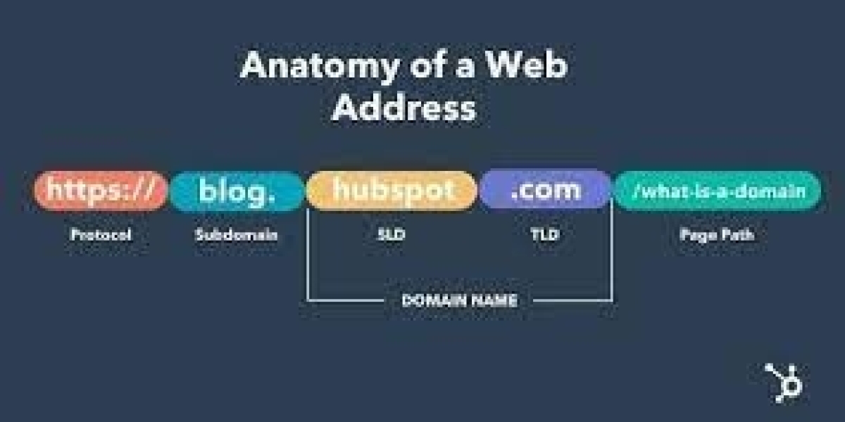 Hướng dẫn tạo Subdomain cho Category và User bằng code mới nhất