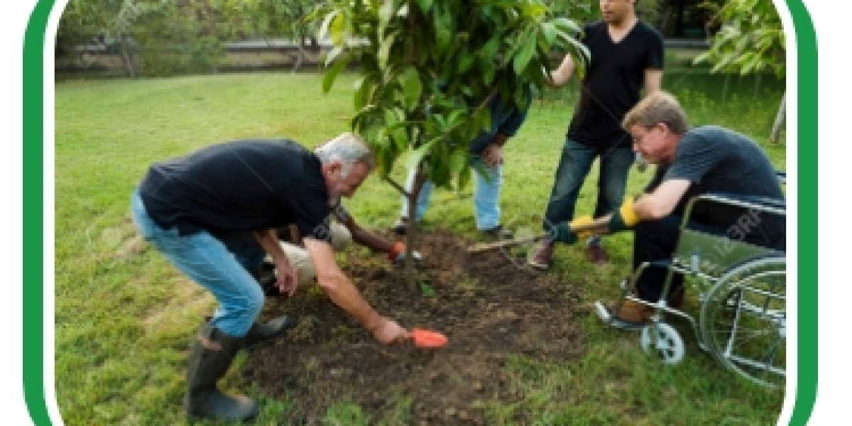 Enhancing Everyday Living with NDIS Assistance With Daily Life