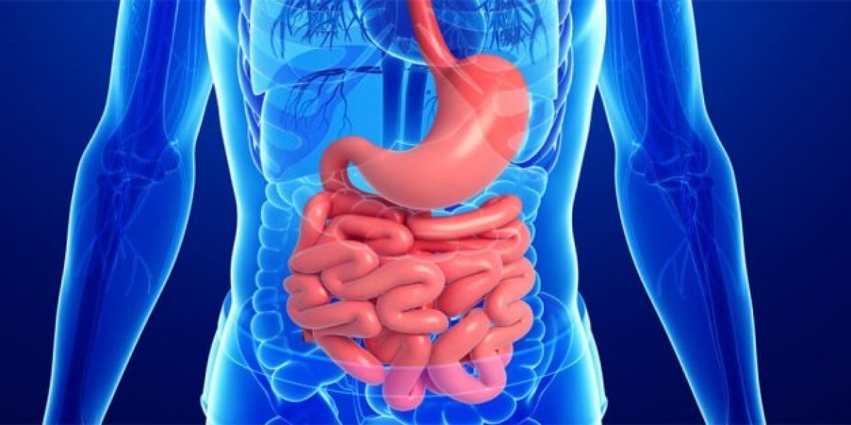 Global Gastrointestinal Drugs Market Insights on Flourishing Industry Growth