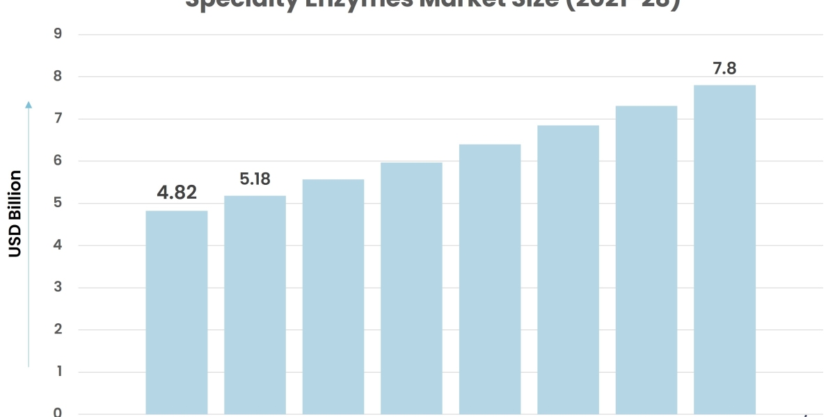 Specialty Enzymes Market Expected to Experience Attractive Growth Through 2028