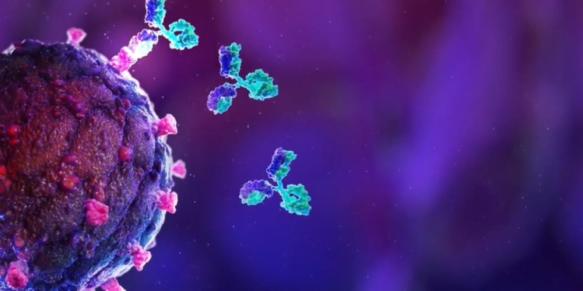 Releasing of New Products Have Spur the Industry; Claims The Custom Antibody Market Insights Report