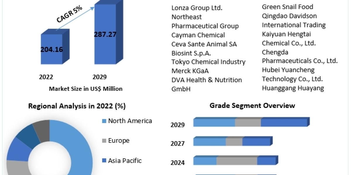 L-Carnitine Market Trends, Active Key Players and Growth Projection Up to 2029