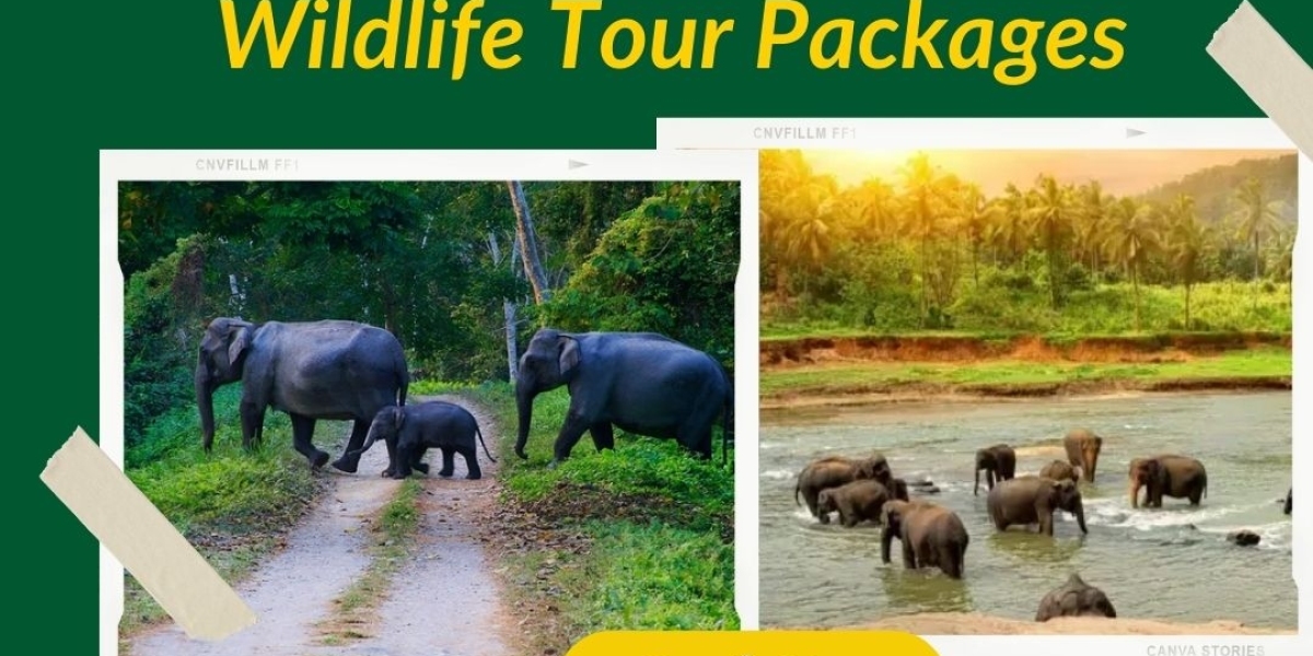 Set out on an Untamed Odyssey: Kerala Wildlife tour packages with Lock Your Trip