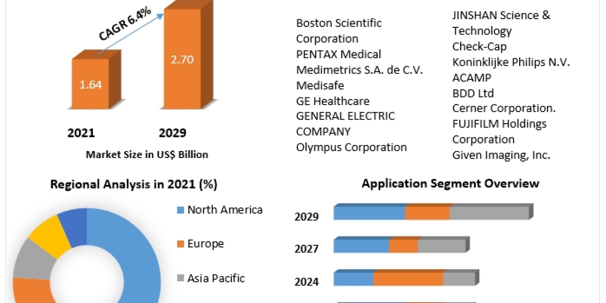 Non-vascular Stents Market Growth, Size, Revenue Analysis, Top Leaders and Forecast 2029