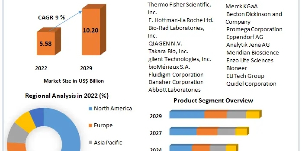 Digital PCR (dPCR) and Realtime PCR (qPCR) Market Industry Outlook, Size, Growth Factors, and Forecast To 2029