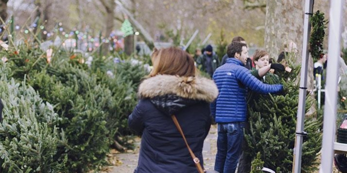 rent Christmas Trees in London