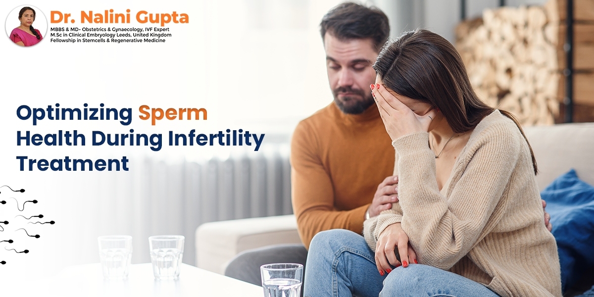 Optimizing Sperm Health During Infertility Treatment