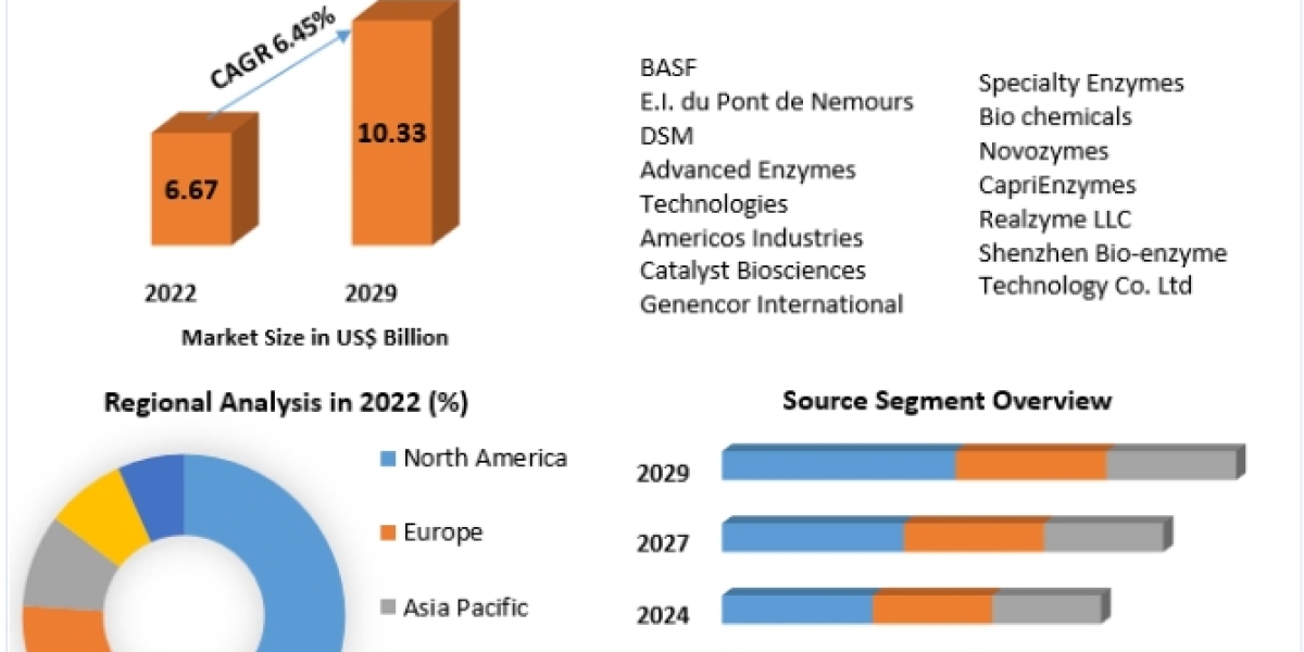 Bio-based Enzymes Market Future Growth, Competitive Analysis and Forecast 2029