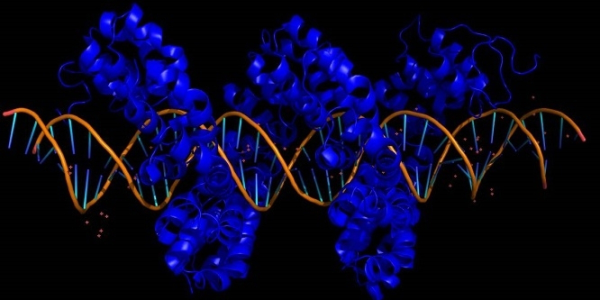 Rett Syndrome Market Analysis Report 2023 Along with Statistics, Forecasts till 2033