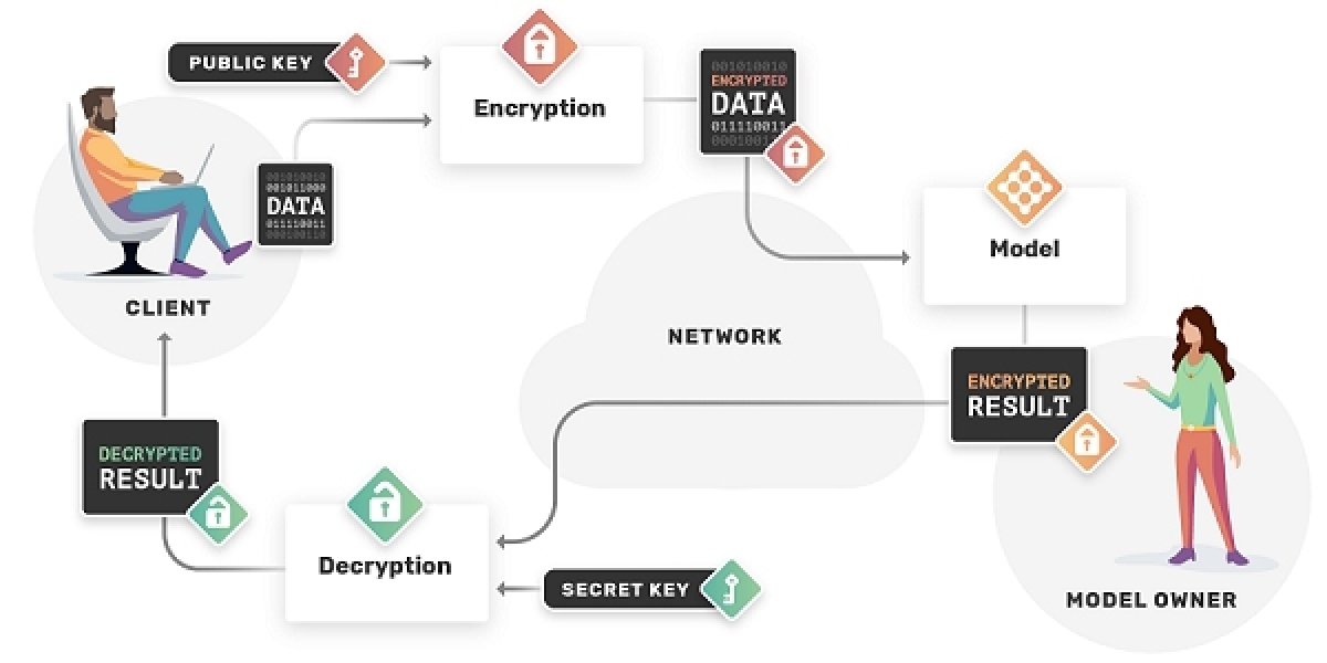 Homomorphic Encryption Market Size Estimated to Observe Significant Growth