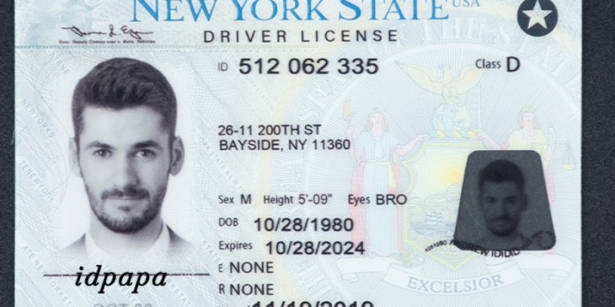 Conquer the Concrete Jungle: Buy the Best IDs for New York from IDPAPA!