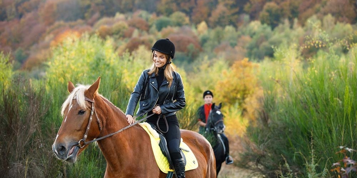 Saddle Up with Confidence: Understanding the Importance of Horse Riding Travel Insurance