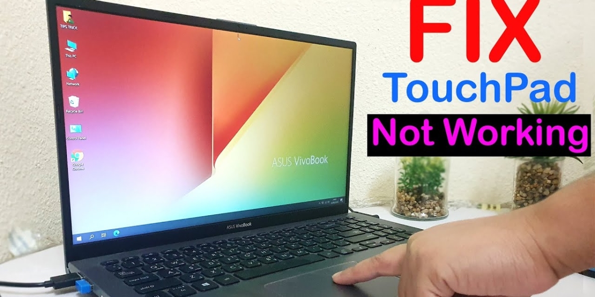 Why ASUS TOUCHPAD NOT WORKING PROPERLY