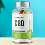 CBD Bites CBD Gummies