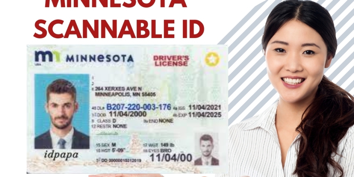 Dive into Minnesota's Beauty with the Best Scannable Minnesota IDs from IDPAPA!