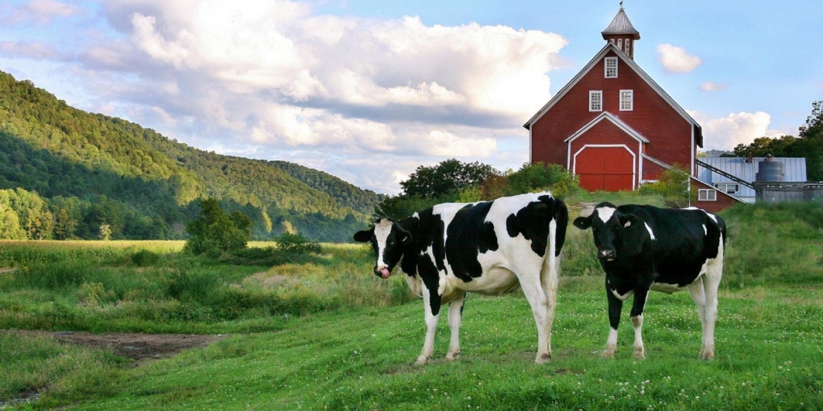 Creating Hope: Your Holistic Method to Cerebrovascular accident Rehabilitation upon AgricFood