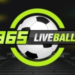 365liveball 365liveball