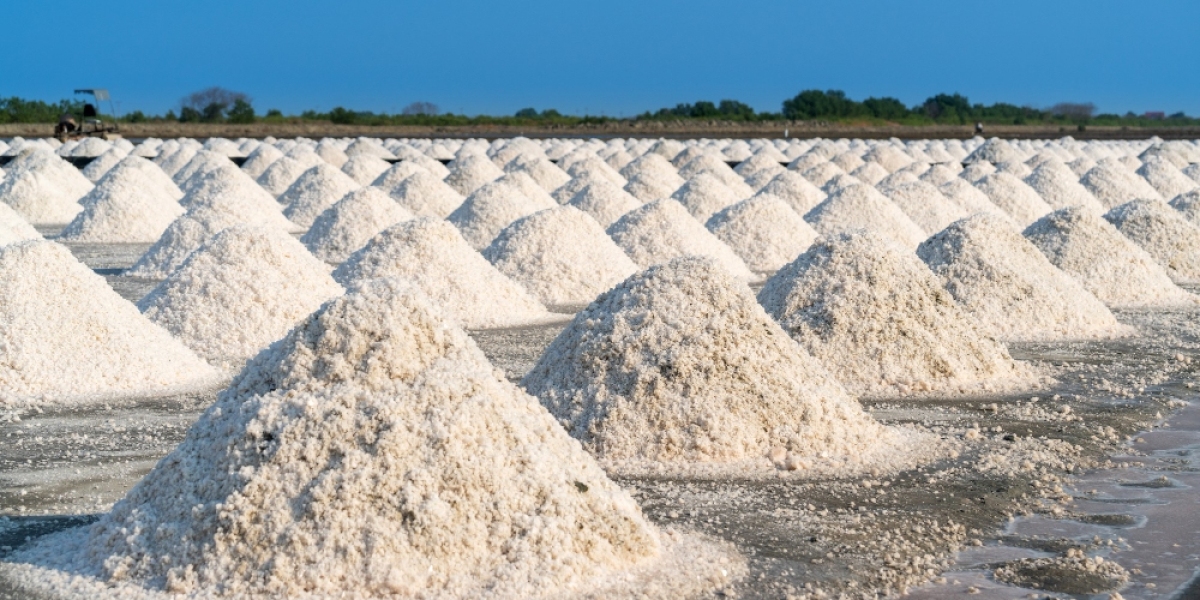 Industrial Salts Market | Insights: Trends, Innovation Future Projections