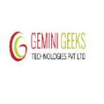 TheGeminiGeeks