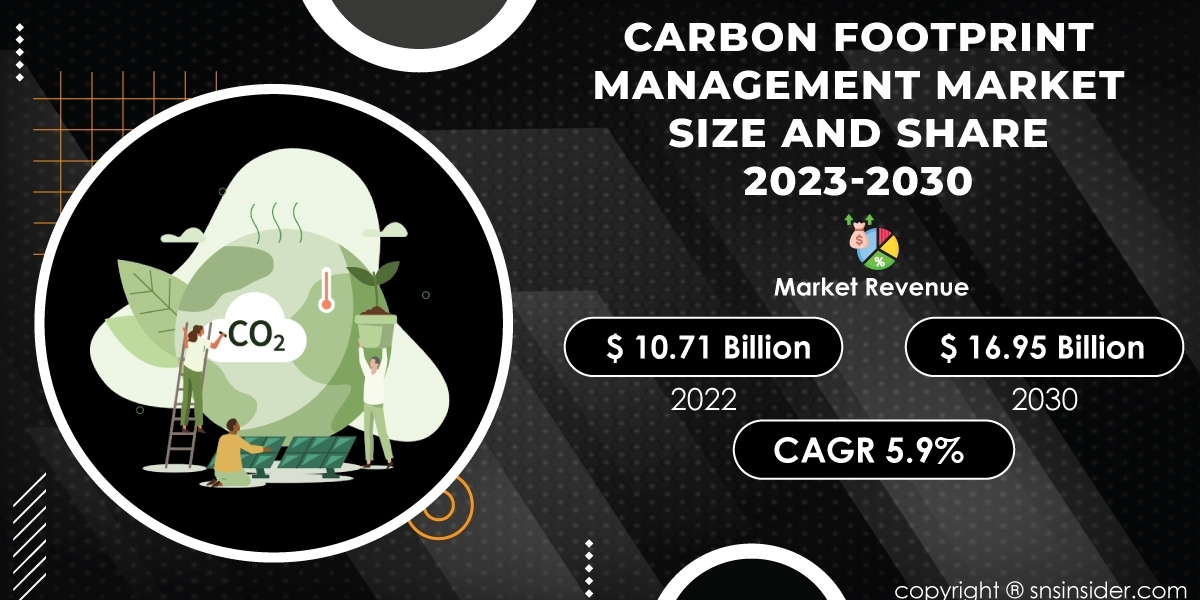 Carbon Footprint Management Market Trends and Opportunities | Insights for Investors