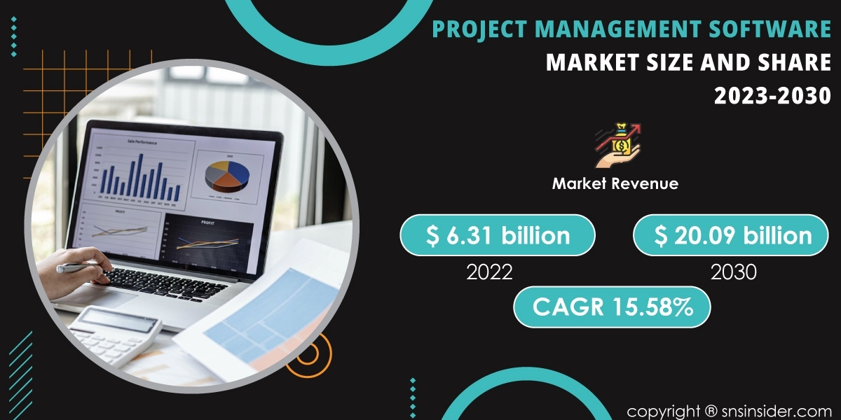 Project Management Software Market Opportunities and Challenges | A Detailed Overview